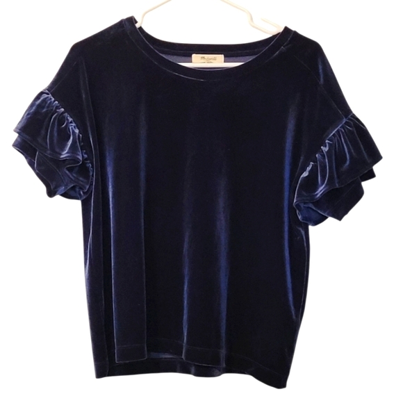 Madewell Velvet Blue Ruffle Sleeve Blouse Size Medium - Picture 1 of 9